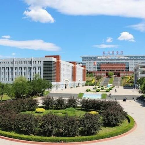 Chengde Medical University