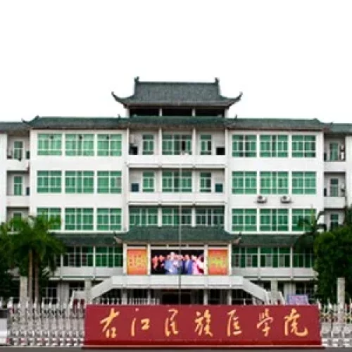 Youjiang Medical University for Nationalities