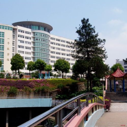 Jiujiang University